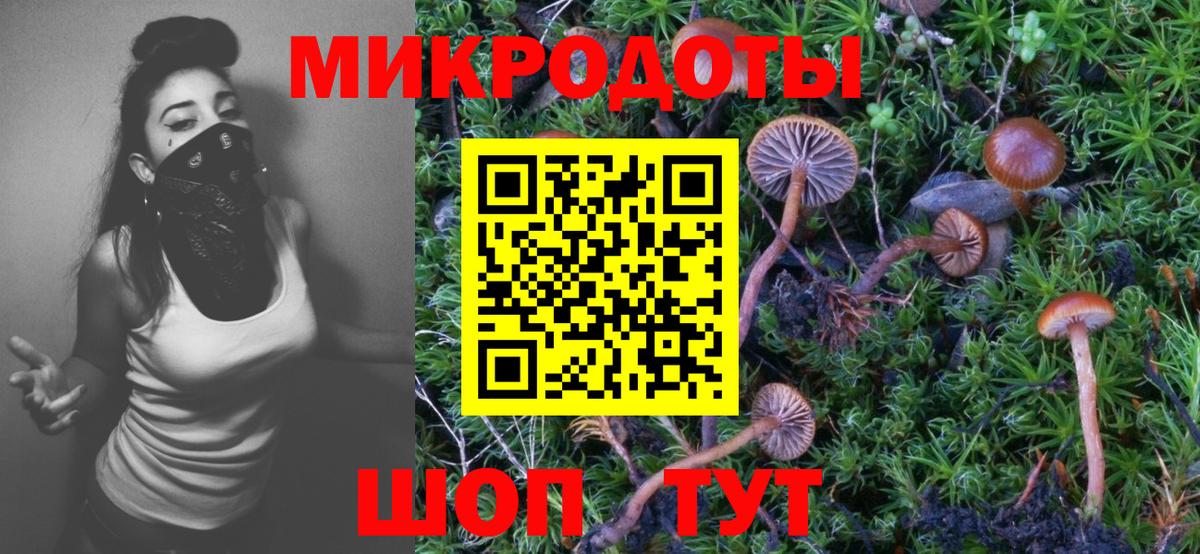 Галлюциногенные грибы мухоморы Дзержинск