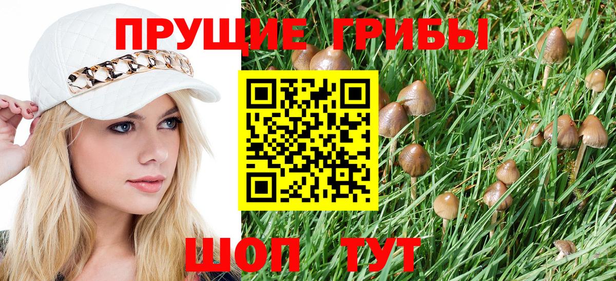 Дзержинск  Галлюциногенные грибы MAGIC MUSHROOMS  Вход с VPN 